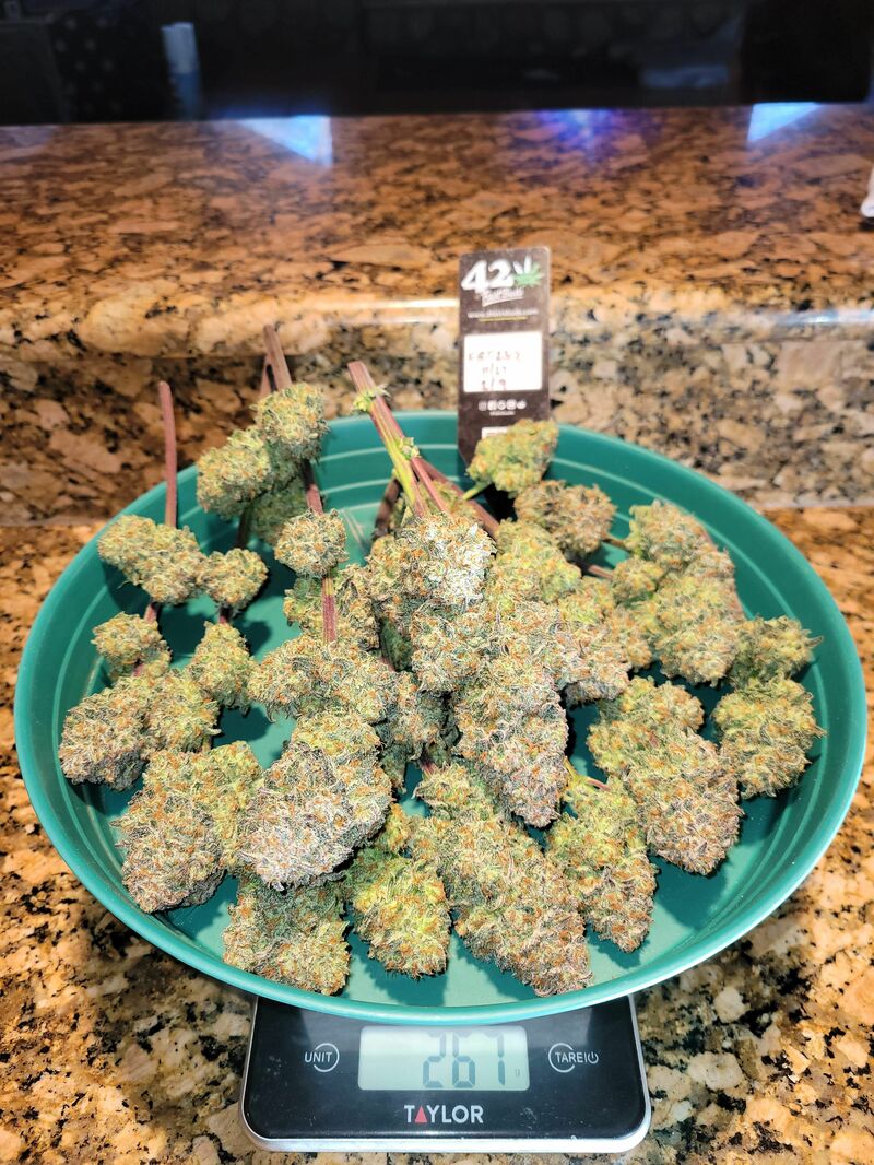 Apple Strudel Auto, Фасовка: 3, изображение 30